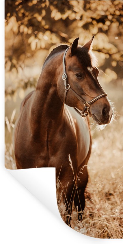 Stickers Stickers muraux - Cheval - Soleil - Portrait - 60x120 cm - Film adhésif
