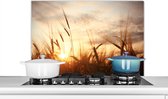 Spatscherm keuken 90x60 cm - Kookplaat achterwand Riet - Gras - Zonsondergang - Natuur - Horizon - Muurbeschermer - Spatwand fornuis - Hoogwaardig aluminium