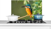 Spatscherm keuken 60x40 cm - Kookplaat achterwand Vogel - IJsvogel - Tak - Bladeren - Mos - Muurbeschermer - Spatwand fornuis - Hoogwaardig aluminium