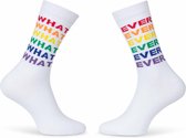 ALLPRIDE LGBTQIA regenboog rainbow pride sokken socks maat 36/42 wit what ever