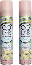 COLAB - Shampooing sec Fresh - Lot de 2
