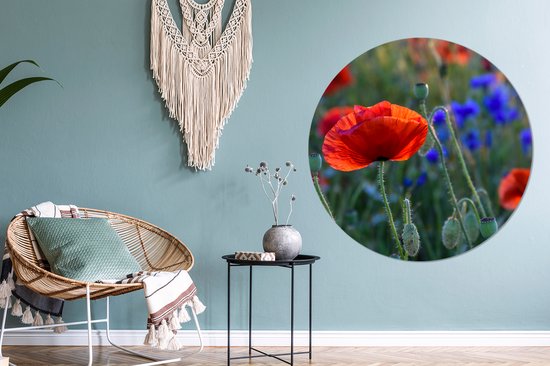 WallCircle - Cercle mural - Cercle mural - Coquelicots colorés aux Nederland - Aluminium - Dibond - 120x120 cm - Intérieur et extérieur XXL