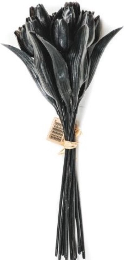 Housevitamin - Zwarte tulpen 'Julia' (12 stuks, 20x40cm)
