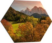 WallClassics - Dibond Hexagon - Herfstig Landschap - 60x52.2 cm Foto op Hexagon (Met Ophangsysteem)