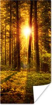 Poster Bos - Zon - Bomen - Natuur - Zonsondergang - 40x80 cm