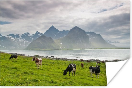 Koeien met bergen Poster 60x40 cm - Foto print op Poster (wanddecoratie)