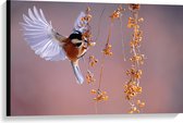 WallClassics - Canvas  - Klein Vogeltje Eet Besjes tijdens het Vliegen - 90x60 cm Foto op Canvas Schilderij (Wanddecoratie op Canvas)