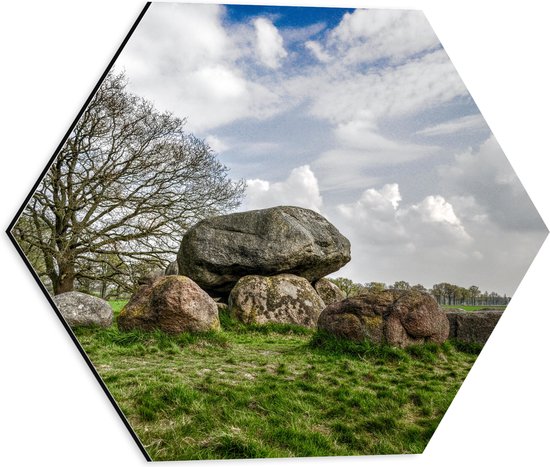 WallClassics - Dibond Hexagon - Grote Stenen in het Veld - 40x34.8 cm Foto op Hexagon (Met Ophangsysteem)