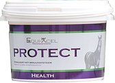 Equi-Xcel - Health - Protect - 2kg