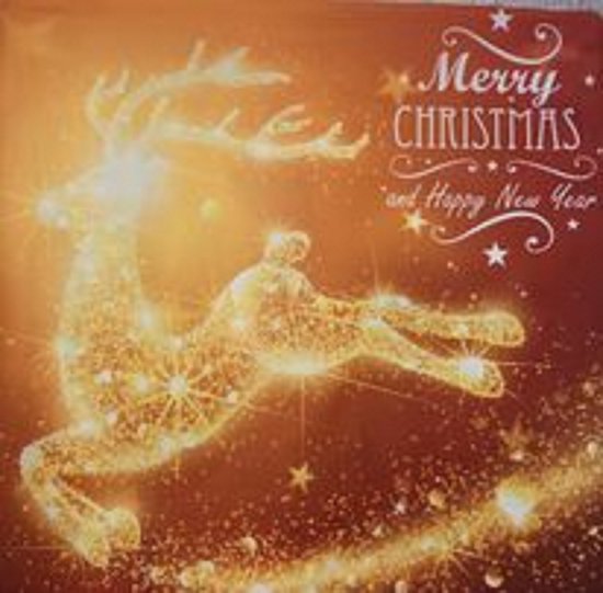 Kussenhoes - kerst - kerst ree - Merry Christmas - 34