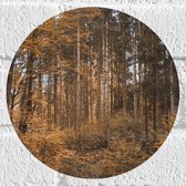 WallClassics - Muursticker Cirkel - Bos in de Herfst - 20x20 cm Foto op Muursticker
