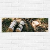 WallClassics - Muursticker - Afgehakte Witte Boomstam - 90x30 cm Foto op Muursticker
