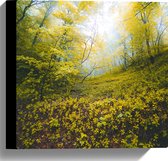 WallClassics - Canvas  - Begroeide Heuvel in het Bos - 30x30 cm Foto op Canvas Schilderij (Wanddecoratie op Canvas)