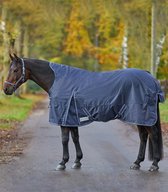 ECONOMIC Turnout Rug, Lightweight, High Neck