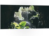 WallClassics - PVC Schuimplaat- Groen Plantje Achter Stromend Water in een Grot - 100x50 cm Foto op PVC Schuimplaat
