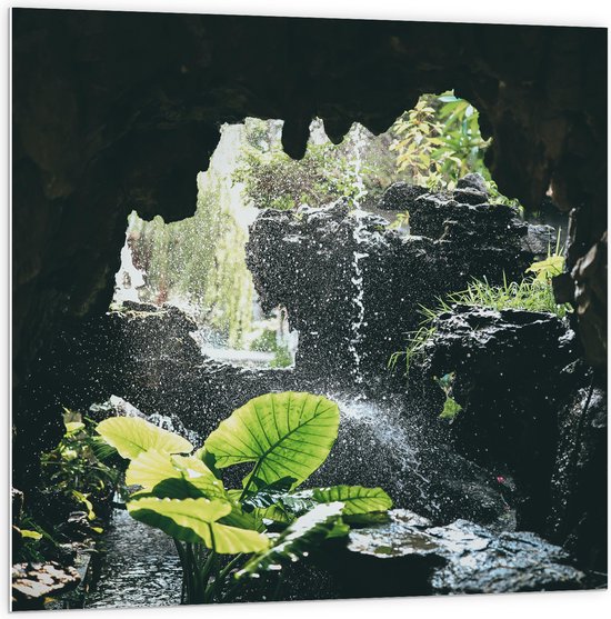 WallClassics - PVC Schuimplaat- Groen Plantje Achter Stromend Water in een Grot - 100x100 cm Foto op PVC Schuimplaat