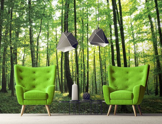 Photo Wallpaper King - Papier peint photo Forest in Spring - Papier peint non tissé peint intissé - Papier peint - 368 x 254 cm