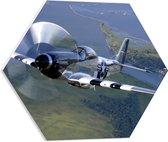 WallClassics - PVC Schuimplaat Hexagon  - Opstijgend Minnie Vliegtuig boven Landschap - 50x43.5 cm Foto op Hexagon (Met Ophangsysteem)
