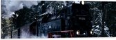 WallClassics - Dibond - Oude Stoomtrein in Besneeuwd Bos - 120x40 cm Foto op Aluminium (Wanddecoratie van metaal)