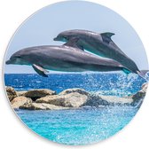 WallClassics - PVC Schuimplaat Muurcirkel - Springende Dolfijnen Boven het Water - 30x30 cm Foto op Muurcirkel (met ophangsysteem)