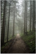 WallClassics - Poster Glanzend – Mist op Bospad met Smalle Bomen - 70x105 cm Foto op Posterpapier met Glanzende Afwerking