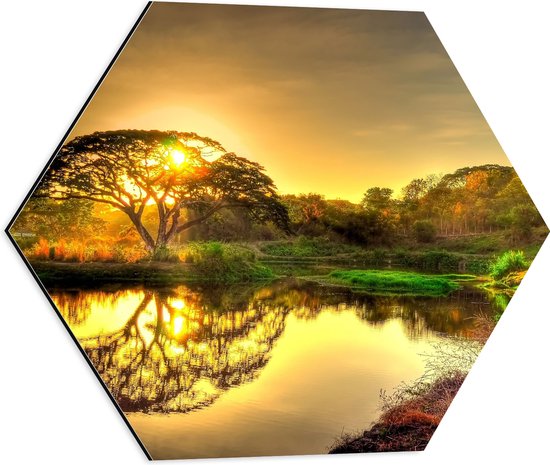 WallClassics - Dibond Hexagon - Natuurlandschap bij Zonsondergang - 50x43.5 cm Foto op Hexagon (Met Ophangsysteem)
