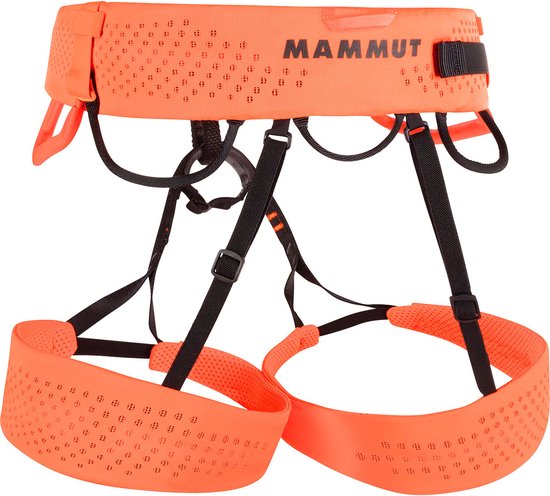 Mammut