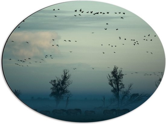 WallClassics - Dibond Ovaal - Paarden in de Mist - 56x42 cm Foto op Ovaal (Met Ophangsysteem)