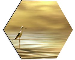 Dibond Hexagon - Steltkluut Vogel in het Water - 40x34.8 cm Foto op Hexagon (Met Ophangsysteem)