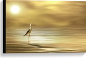 WallClassics - Canvas  - Steltkluut Vogel in het Water - 60x40 cm Foto op Canvas Schilderij (Wanddecoratie op Canvas)