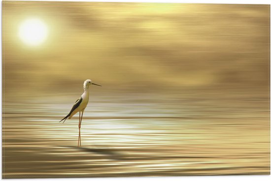 WallClassics - Drapeau - Vogel échasse à ailes noires dans l' Water - 60x40 cm Photo sur Drapeau Polyester