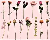 Doorzichtige Stickers - Bloemen - 30 stuks - Flower Sticker