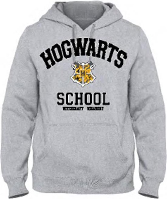 Harry Potter - Hogwarts School Sweat à capuche gris pour hommes - M