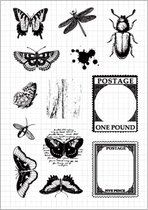 Clearstamps - Journaling Insects -  Insecten Stempel - Stempels voor o.a bulletjournal, scrapbooking en kaarten maken