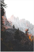 WallClassics - Poster (Mat) - Bomen op Stijle Berg - 40x60 cm Foto op Posterpapier met een Matte look