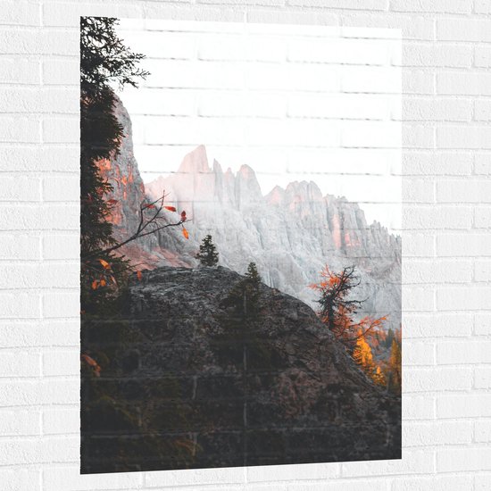 WallClassics - Muursticker - Bomen op Stijle Berg - 80x120 cm Foto op Muursticker