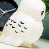 foto van Paladone Harry Potter Hedwig Lamp