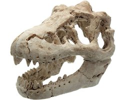 Schedel Ornament voor Aquarium – Dino Schedel Aquarium Decoratie – 8.5*5.5*4.5 cm