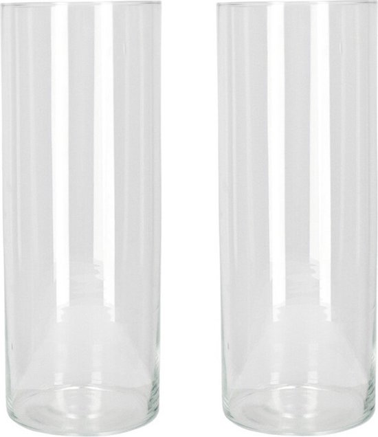 Set van 2x stuks bloemenvaas/vazen van transparant glas 40 x 15 cm - Bloemen/boeketten/takken