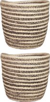 Set de 2 pièces en rotin gris naturel pot plantes/fleurs panier de jute torsadé/roseau/jonc de mer H16 et D19 cm - intérieur plastique