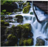 WallClassics - Drapeau - Pont au-dessus de la cascade - Photo 50x50 cm sur drapeau en polyester