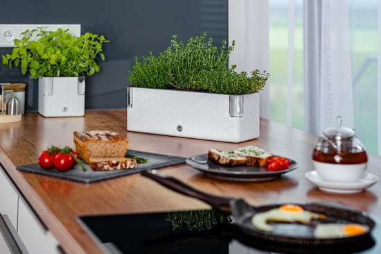 Witte kruidenpot met schaakbordpatroon, met tijm, op een houten aanrecht, naast brood en tomaat.