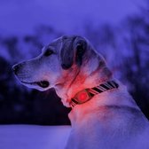 Kurgo RSG Molle Dog LED Light - Lampje voor goede zichtbaarheid van jouw hond - Veilig in het donker