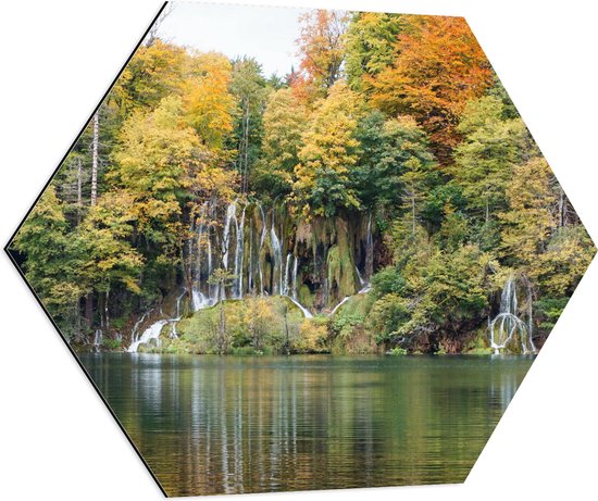 WallClassics - Dibond Hexagon - Kleine Watervallen tussen Bomen door - 70x60.9 cm Foto op Hexagon (Met Ophangsysteem)