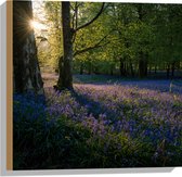 WallClassics - Hout - Zonnetje Schijnend op Lavendel  - 50x50 cm - 12 mm dik - Foto op Hout (Met Ophangsysteem)