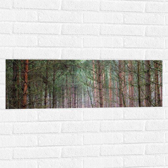 WallClassics - Muursticker - Branches Arbres vert vif - Muursticker 90x30 cm