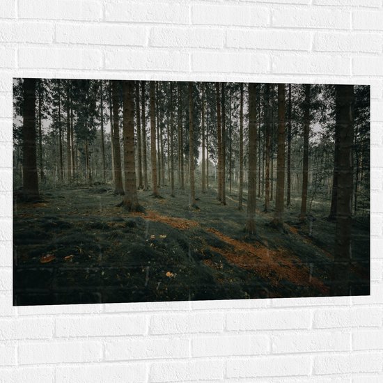 WallClassics - Muursticker - Heuvel Bos - 105x70 cm Foto op Muursticker