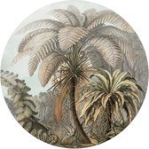 Plexiglasschilderij Palmboom Ø 70 cm