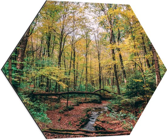 WallClassics - Dibond Hexagon - Omgevallen bomen over Rivier - 80x69.6 cm Foto op Hexagon (Met Ophangsysteem)