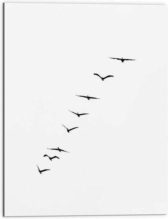 WallClassics - Dibond - Schuine Lijn van Zwarrte Vogels op Witte Achtergrond - 60x80 cm Foto op Aluminium (Wanddecoratie van metaal)